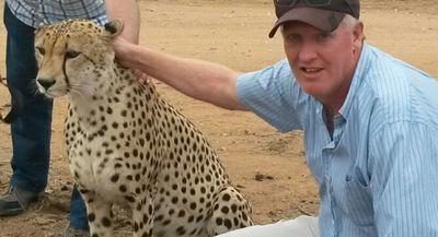 bostonplo's profile picture. 