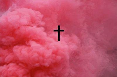 wellons_alexus's profile picture. just a real female tryina live my life.