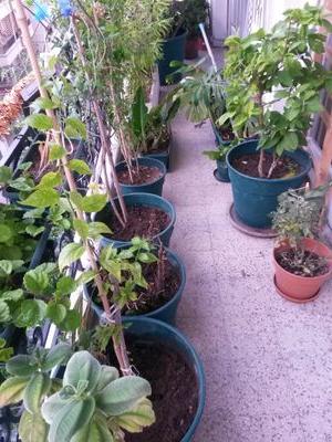 Todologa_ok's profile picture. 