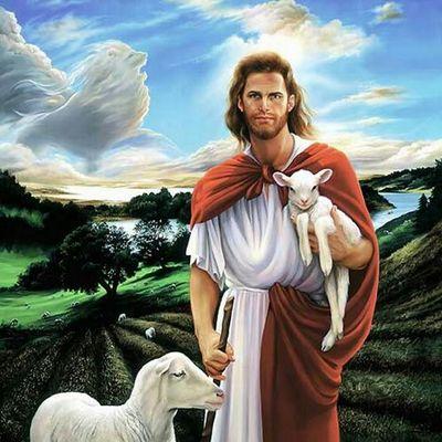 tms3396815's profile picture. 