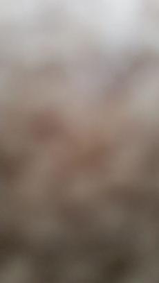 go677123's profile picture. 