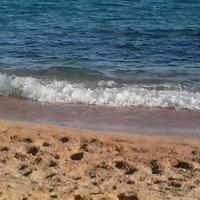 ANNA M C (@anna_moreno_c) 's Twitter Profile