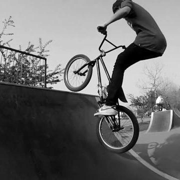 Sophiarobl1's profile picture. 