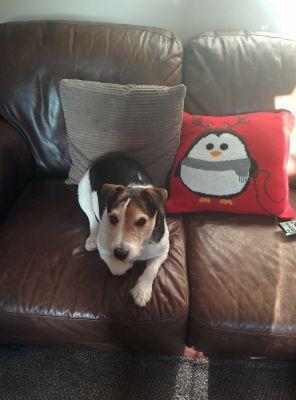 stacey222g's profile picture. wannabe actress