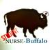 BuffaloRN (@studentnrsebuff) Twitter profile photo