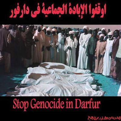 HassanThabetMat's profile picture. 