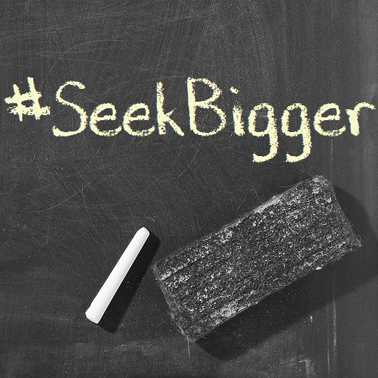 A Mentor, Educator and Community Manager at SEEK BIGGER (An elearning and online tutoring platform)