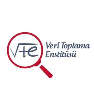 Veri Toplama Enstitüsü Araştırma Danışmanlık
VTE Research