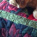 Nancy Aceto - @TailsThread - Twitter