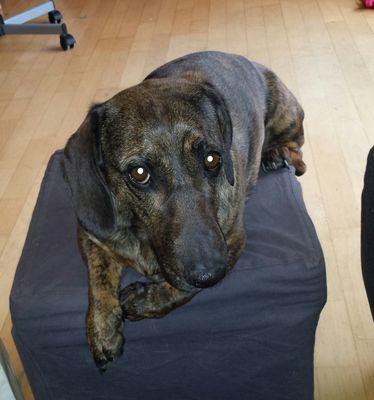 KWidauer's profile picture. 