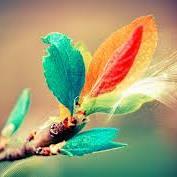 masiva33331's profile picture. 