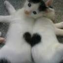 Allison Carnes - @CarnesAllison - Twitter