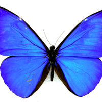 Exeter Waves (@exeter_waves) 's Twitter Profile