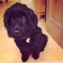 Miss Betty Ball - @Missbettyball - Twitter