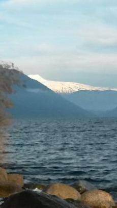 proTutti's profile picture. 