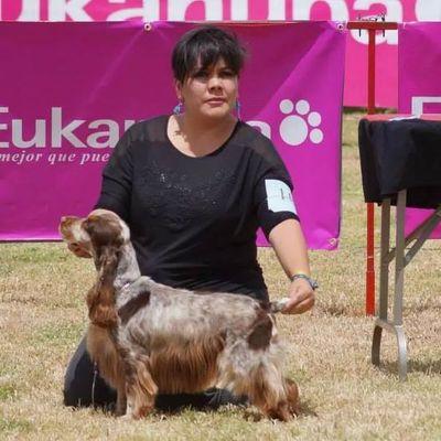 AMANTE DE LOS ANIMALES DESDE QUE TENGO USO DE RAZON.. LOCA ENAMORADA DE LOS PERROS DE EXPOSICION DESDE LOS 4 AÑOS..