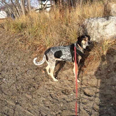 roses4360's profile picture. 