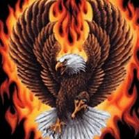 alkeng (@7ecf6e307d92431) 's Twitter Profile
