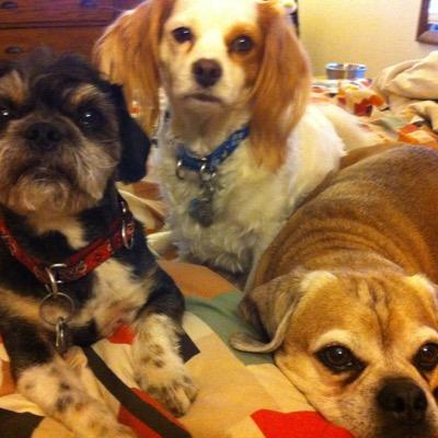 Kc1118Mac's profile picture. 