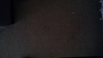 brancoemuso's profile picture. 