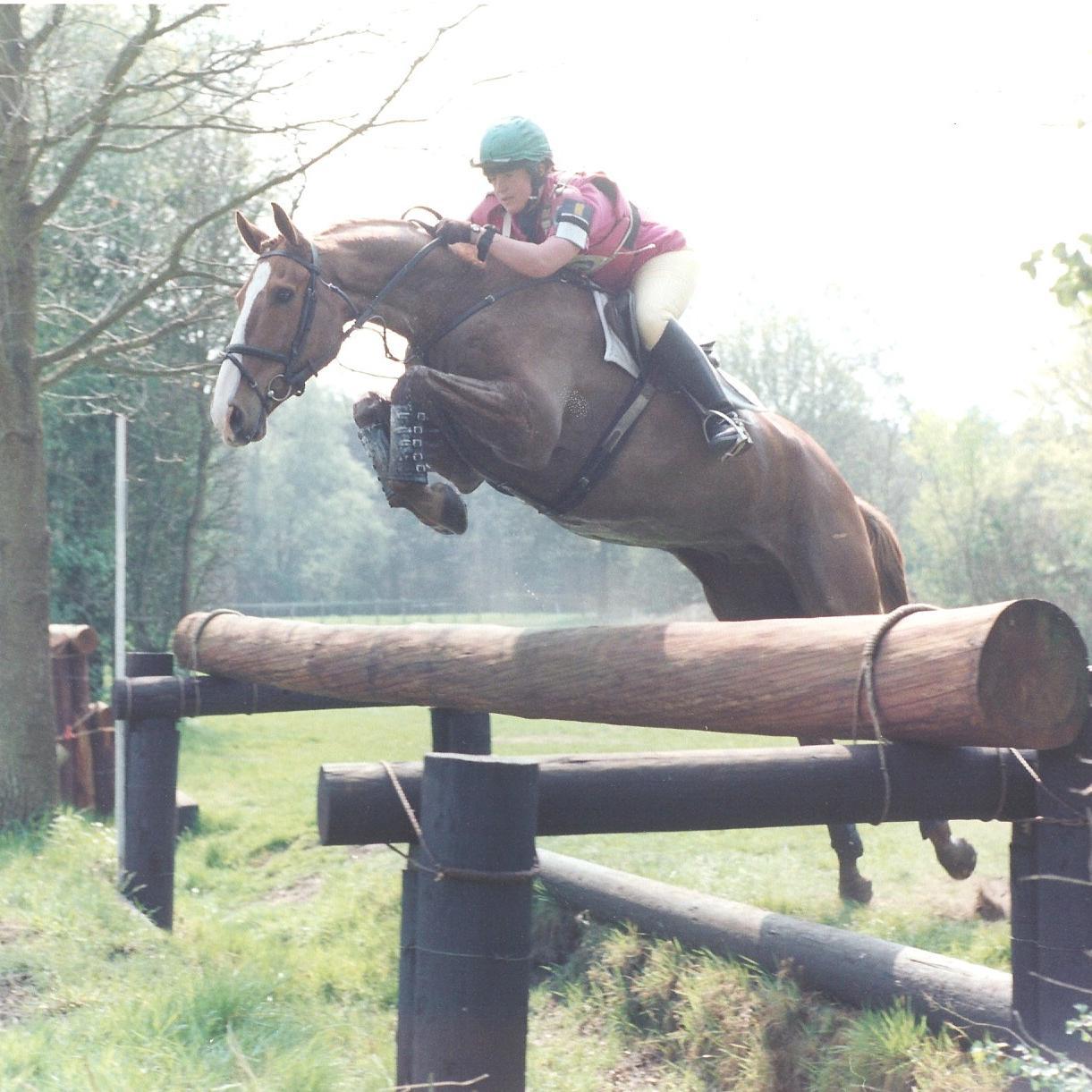 Equne Agent based in Ireland. Finding top quality sports horses. Horses produced include Toytown and numerous horses for international riders.