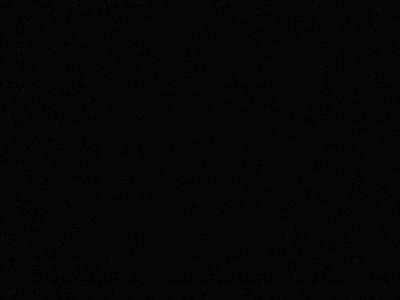 Big_Leao's profile picture. 