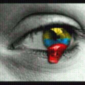 wendy3810's profile picture. Amo a mi venezuela, 100% opositora a este gobierno, luchando por un mejor pais!!