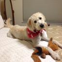 Candy Michael - @SpingTx - Twitter