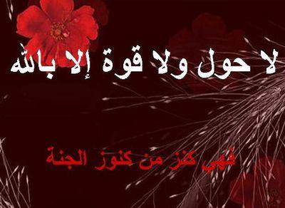 ( وكل شيء احصيناه كتابا )
