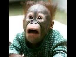 JusKillingTV's profile picture. 