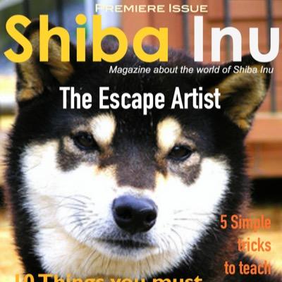 Official Twitter account of SHIBA INU Magazine, featuring articles, news, & blogs. #SIMag Like us on Facebook