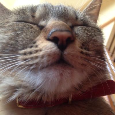 初めまして!アフィリエイトをしております! アフィリで高収入目指しています☆ 元高校球児でした^o^ 今年で20歳どすえ