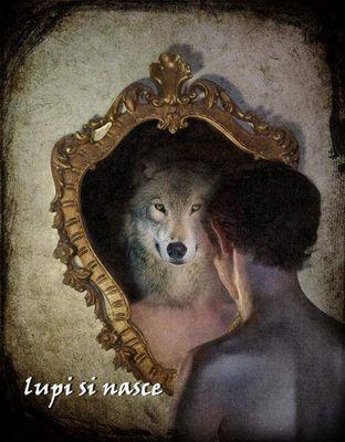 Los lobos y los locos, aullan solos