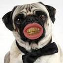 Harley Sutton   - @Pugchew - Twitter