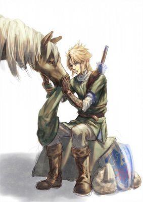 The Savior of Twilight and the holder of the Tri-Force of Courage. // #MVRP // #LoZRP // #DetailedRP // #SometimesGraphicRP // #OpenDMs