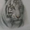 Thomas Hickerson - @ThomasHickerson - Twitter