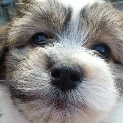 mftl4488's profile picture. 