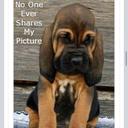 Isaiah Cooper - @CopyRightBro - Twitter