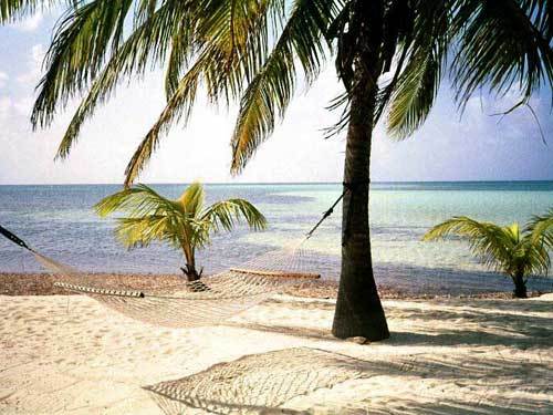 msstephni's profile picture. r.a.n.d.o.m.