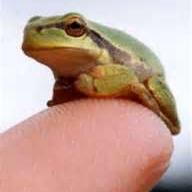 MenasriC's profile picture. 