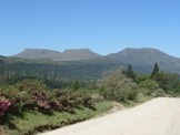 hogsback's profile picture. Quaint village high up in the Amatola mountains overlooking forests and waterfalls and home to the Cape parrot, Knysna Loerie --Paradise