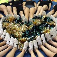 SCHS Cheer & Poms (@schscheerpoms) 's Twitter Profile