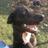 PawsitForward's profile image