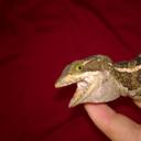 damien wallace - @damienwallace12 - Twitter