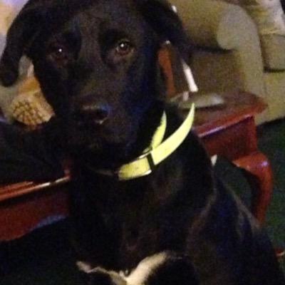 WatsonWoodst's profile image