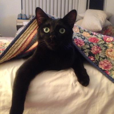 trishholmes8's profile picture. 