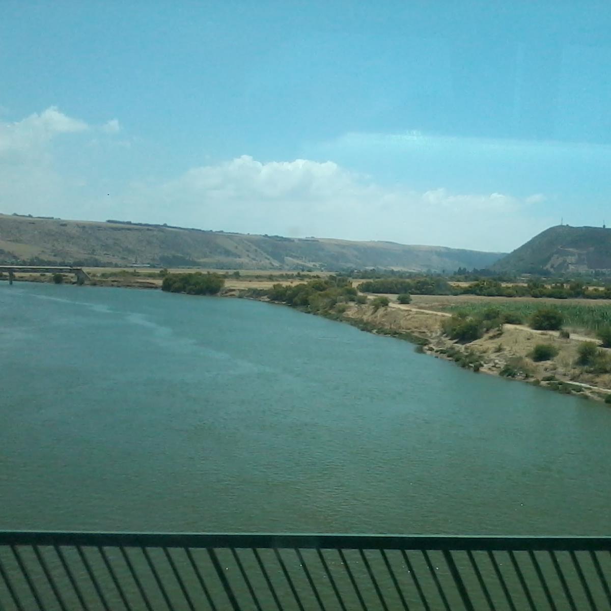 ronm2015's profile picture. 