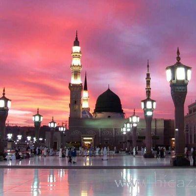 fcff7e3cf4e74e2's profile picture. 