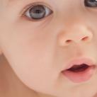 Svenska Bebisnamn (@bebisnamn) 's Twitter Profile