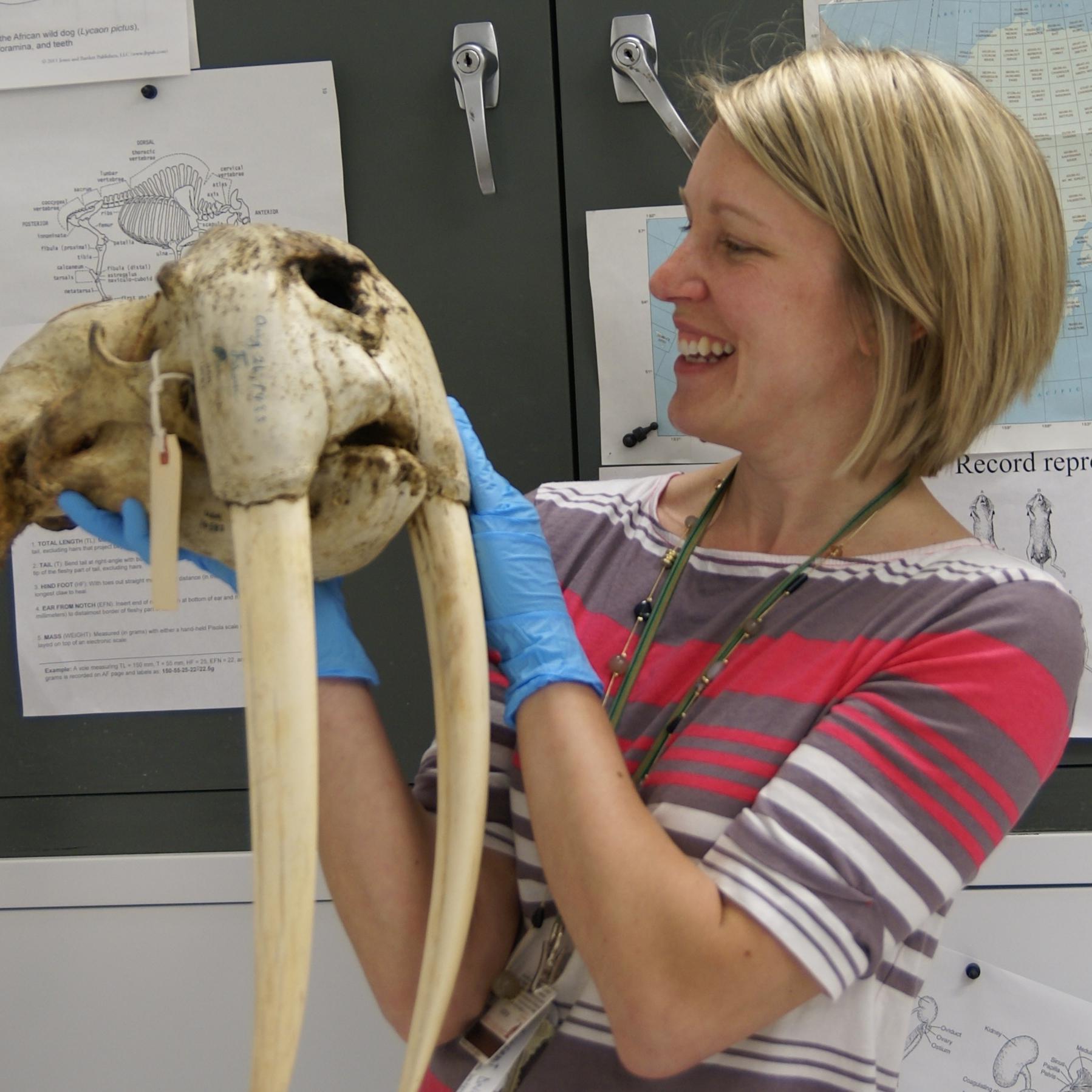 tarafulton's profile picture. Recovering academic, government middle management, biologist for life, mom of boys, probably swears too much she/her/Dr